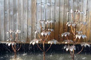 2. Fatsia Water Features (Small Medium Large).jpg